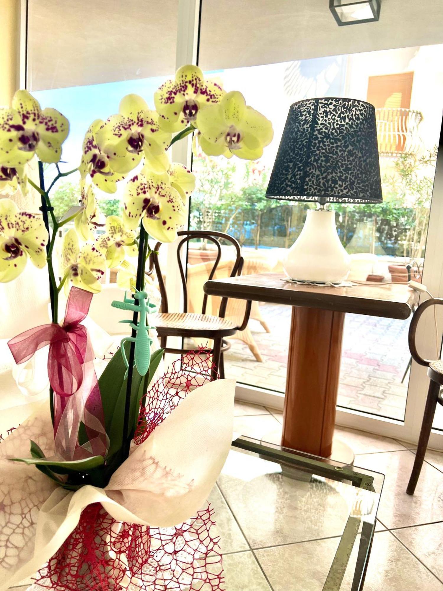 Hotel B&B Montecarlo Milano Marittima Luaran gambar